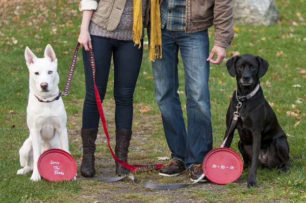 © Julia Jane Photography | adorable save the date with dogs, red frisbee save the date sign