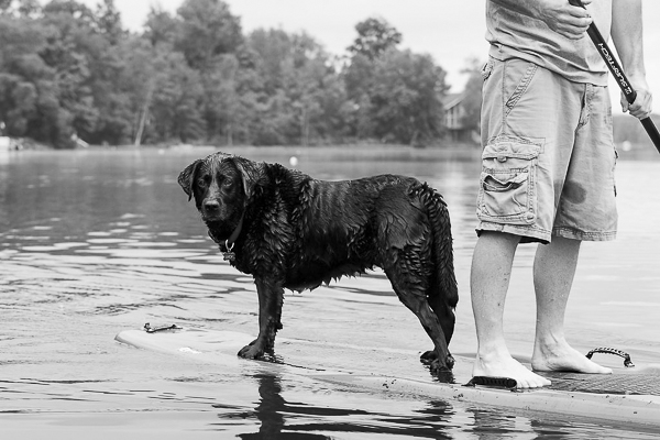 © Silent Moment Photography | man's best friend, man and dog on paddleboard, 