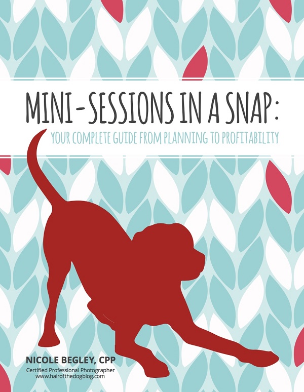 Mini-Sessions In A Snap!
