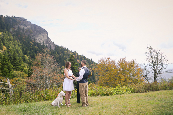 © Meghan Rolfe Photography | Best Dogs, Wedding dogs, elopement Blue Ridge Parkway