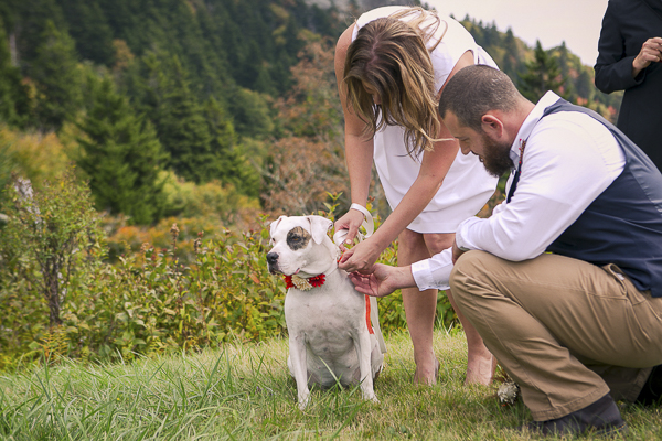 © Meghan Rolfe Photography | elopement with dogs, dog ring bearer, outside elopement ceremony
