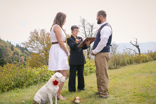 © Meghan Rolfe Photography | Best Dogs, Wedding dogs