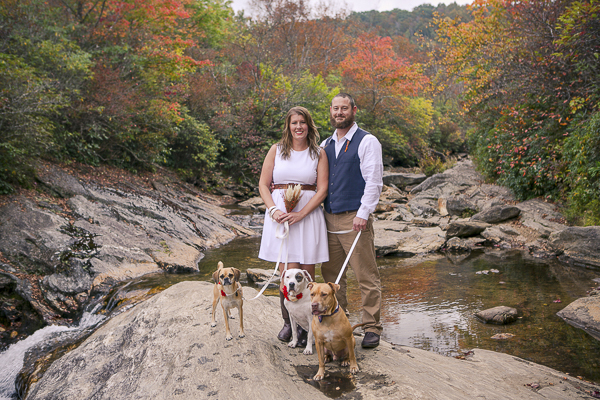 © Meghan Rolfe Photography Best Dogs, Wedding dogs, autumn wedding photos with dogs