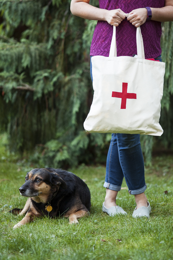 © Alice G Patterson Photography | First Aid For Dogs, CPR, shock and severe injuries