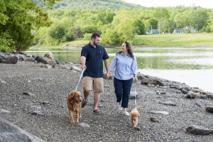 Engaging Tails: Sully and Libby - Daily Dog Tag