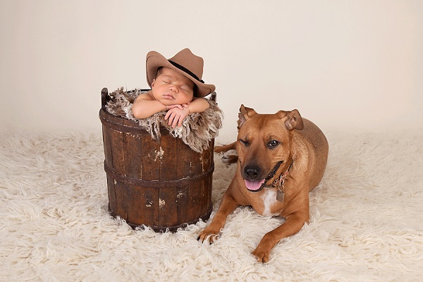 © Cathy Murai Photography | newborn photography session with dog, baby in cowboy hat and dog