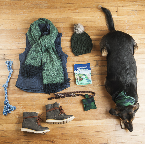 Flat Lay, DIY dog project, treat bag, #NaturalBalance, perfect outfit for walking dog, fall weather dog walking