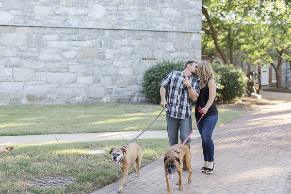 © Heidi Calma Photography | Boxers, engagement photos with dogs