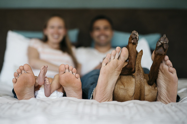 © Lauren Lindley Photography | Lifestyle family/pet photography, feet and paws on the bed, newborn session