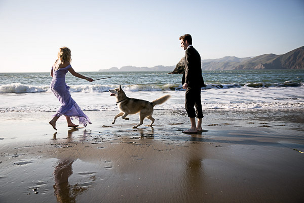 couple in formal wear, playing fetch with dog at beach,