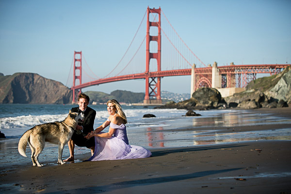 engagement pictures, wolf hybrid, San Francisco