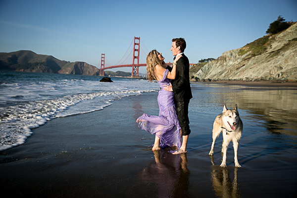 trash the dress formal attire, purple gown, Husky mix, Golden Gate
