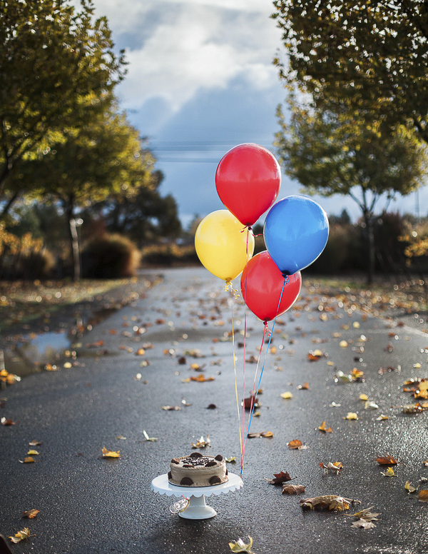balloons and birthday cake, dog's birthday