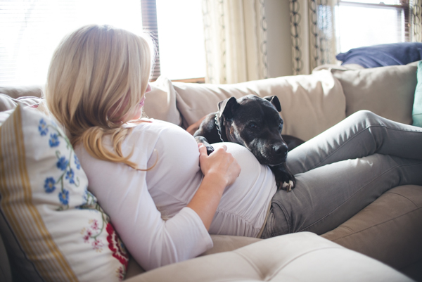 M&JPHOTOGRAPHY-pitbull resting on pregnant woman's lap