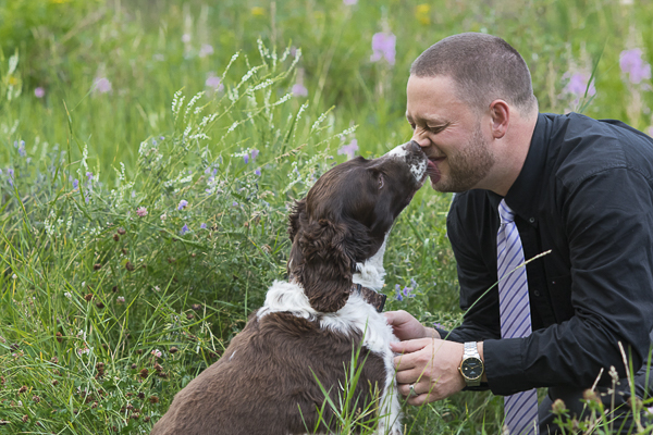 man's best friend, Springer Spaniel licking man's face in field