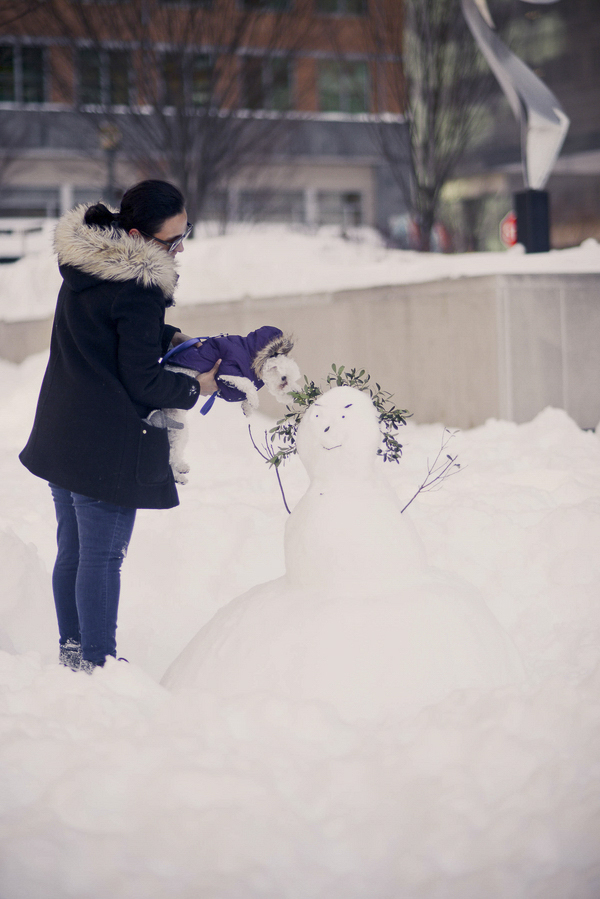 ©Laurentina Photography | dog investigating snow person, Bichon Bolognese, 