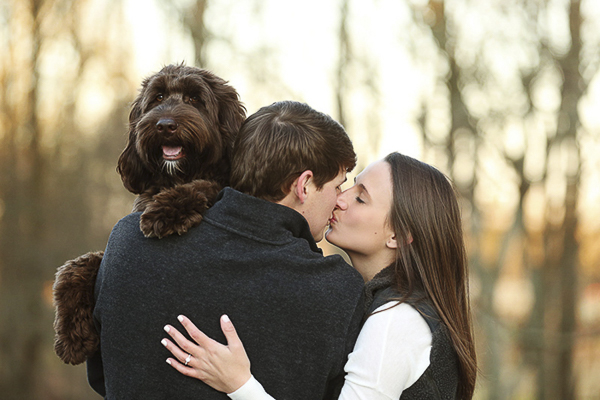 Labradoodle hugging man, engaged couple kissing while holding dog