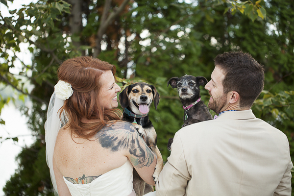 bride with tattoos and dogs, wedding photos with dogs, beagle mix, Schnauzer mix, wedding dogs