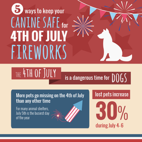 5 Ways To Keep Your Dogs Safe For The 4th of July Fireworks