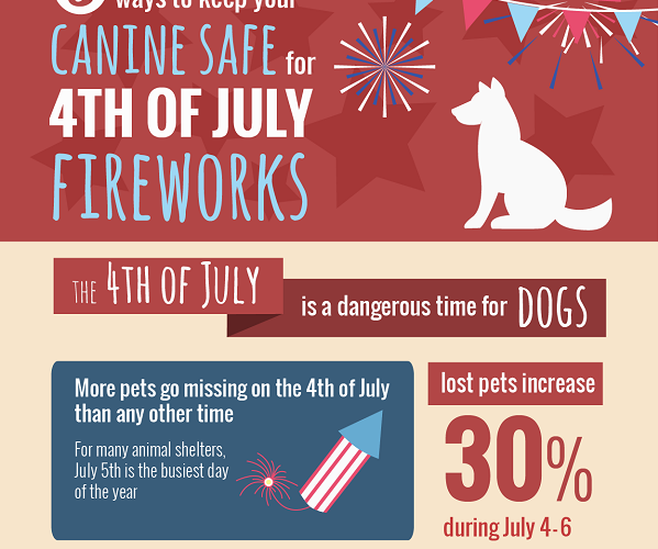 Keeping Dogs Safe on July the 4th