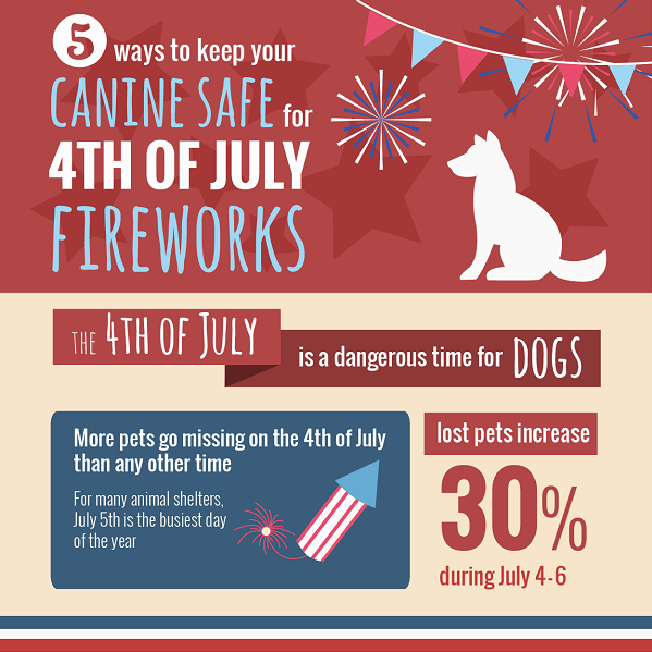 5 Ways To Keep Your Dogs Safe For The 4th of July Fireworks Daily Dog Tag