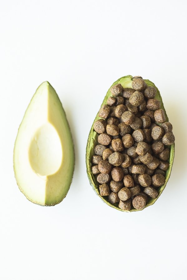 slice of avocado, avocado filled with AvoDerm Natural dog food