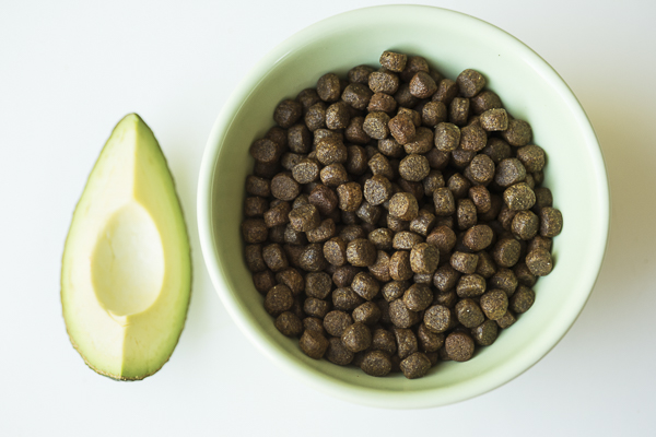 Avocado and green bowl of AvoDerm Natural Pet Food