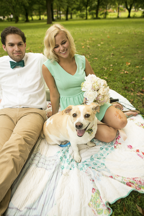 © Mandy Whitley Photography | dog friendly wedding, dog, wedding guests sitting on blankets