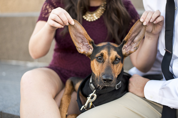 woman lifting dog's ears up, engagement photos with dog