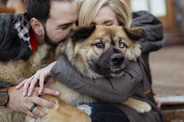 couple snuggling Husky-Chow mix, dog with one brown eye, one blue eye