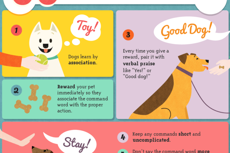 30 Positive Training Tips