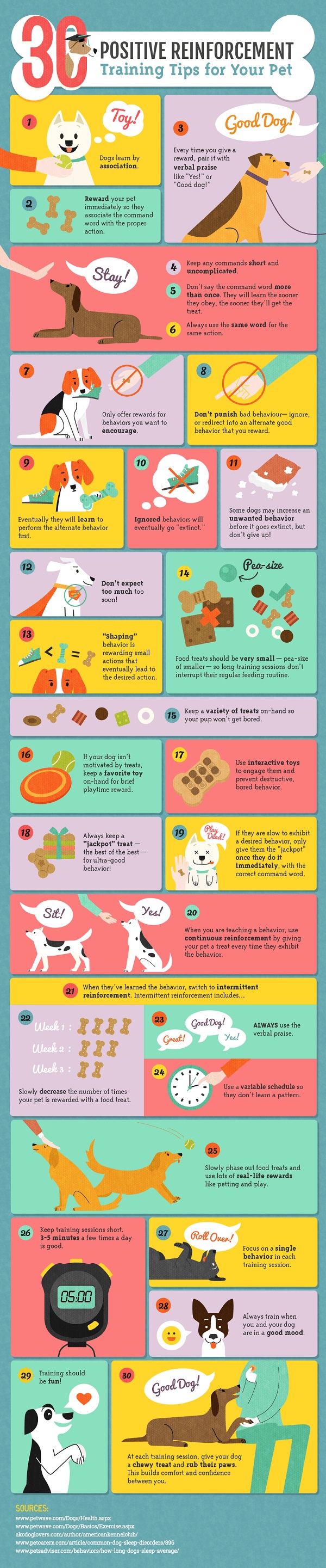 Positive Reinforcement Training for Dogs-Infographic by Amber Kingsley