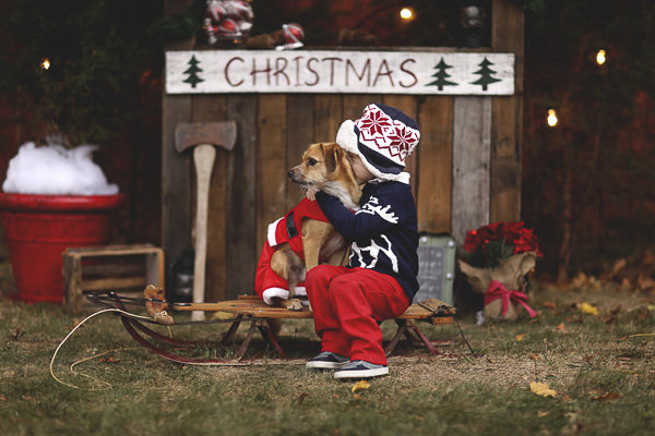 little boy hugging dog on sled, little brown dog wearing Santa suit ©Jasmine Rose Photography