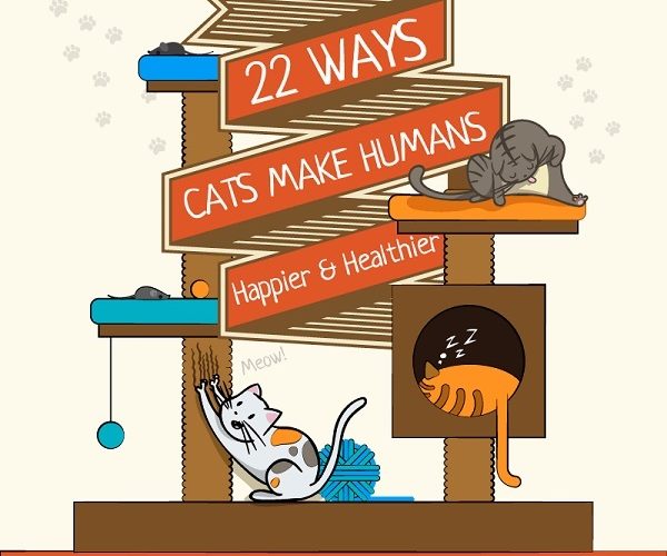 Ways Cats Make Life Better
