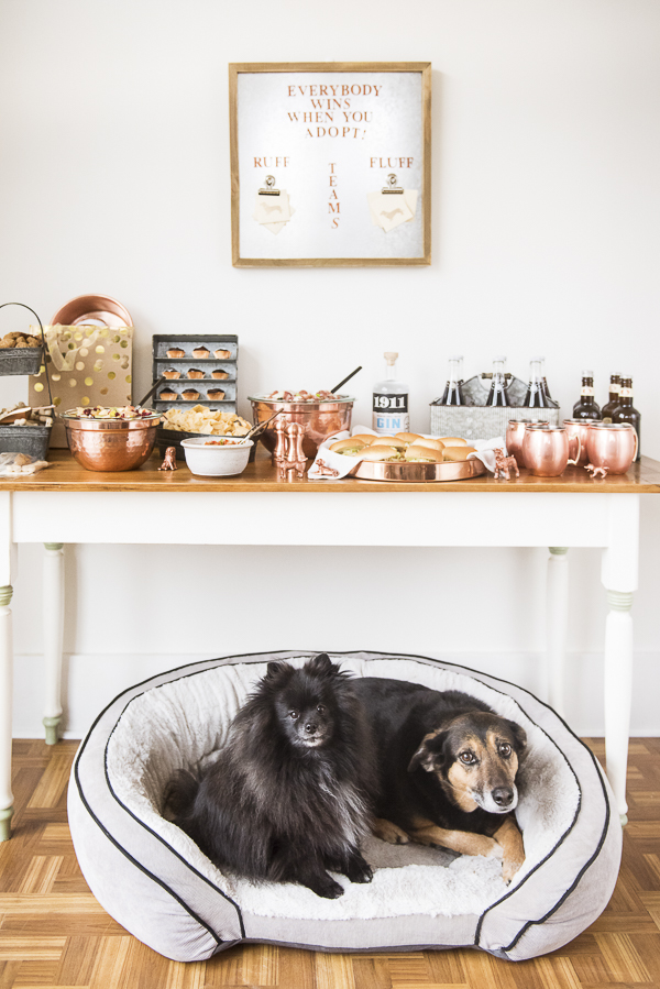 Puppy Bowl Party Ideas, Pomeranian and Shepherd mix in dog bed in front of Puppy Bowl buffet