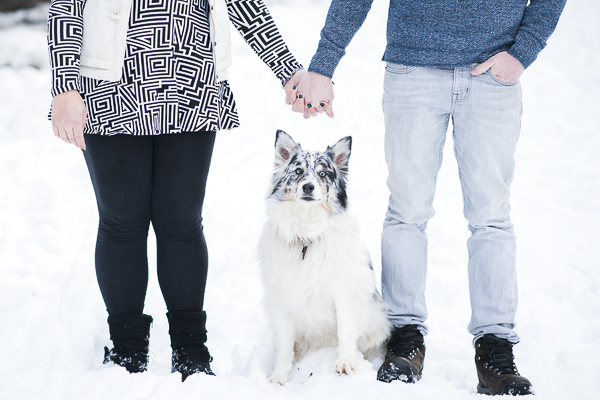 couple holding hands with dog, Aussie, winter dog photography