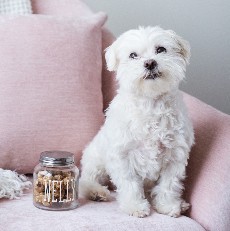View of Simple Grain Free Peanut Butter Banana Dog Treats - Daily Dog Tag