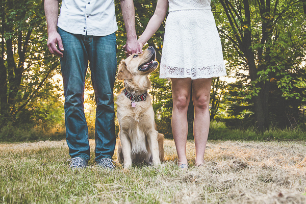 Golden-Retriever looking up at bride to be, engagement pictures with dog