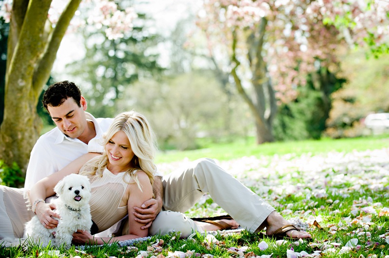 How to Include Dogs In Engagement Photos Daily Dog Tag