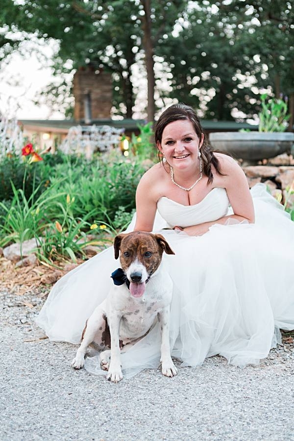 bride and best dog in bow tie, 