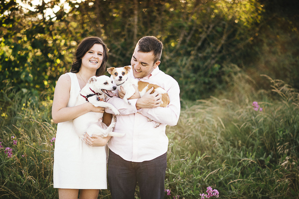 engagement pictures with dogs, terrier mix, Chi mix