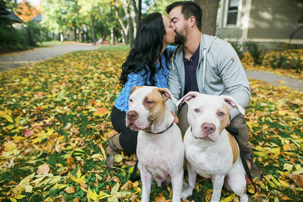 American red nosed pitties, engagement session with dogs