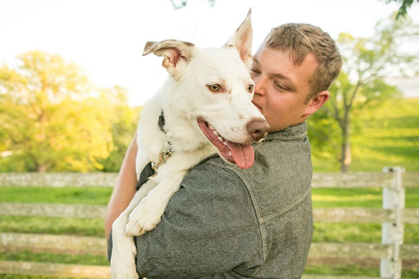 Happy Tails:  Arlow the Lab & Rugar the White Shepherd Mix