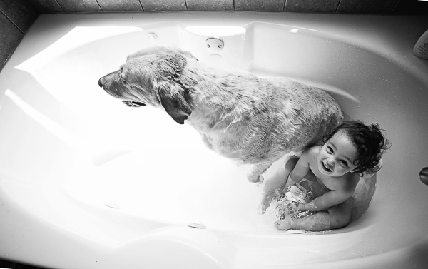 little girl and Yellow Lab taking a bath together
