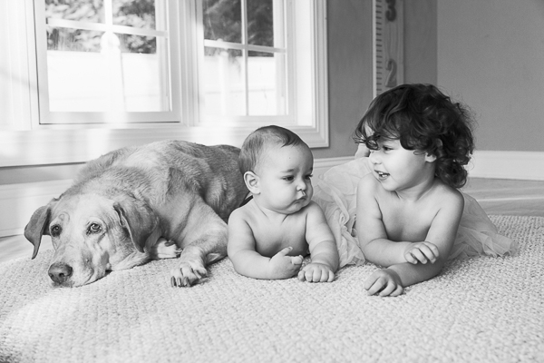 Yellow lab, baby and toddler lying on carpet 