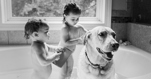little kids bathing dog in tub