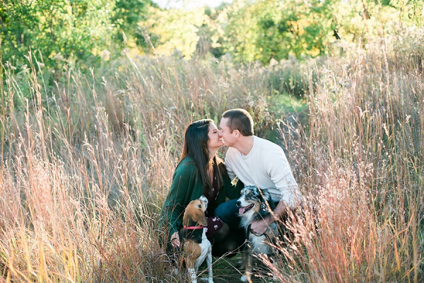 dogs in tall grass, photo ideas to include dogs in engagement photos,