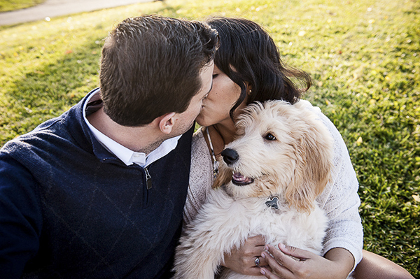 Goldendoodle puppy watching humans kiss, lifestyle dog photography