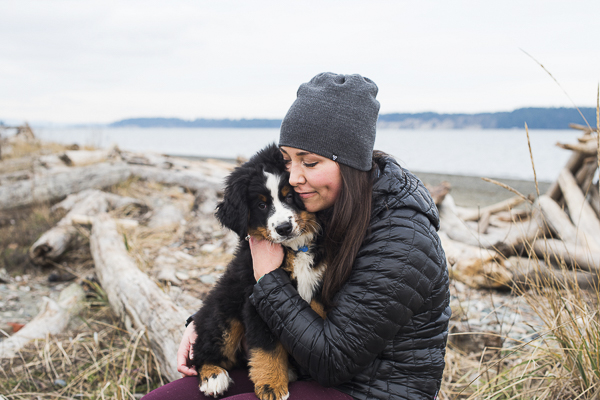 woman snuggling Bernese Mountain Dog puppy, winter beach dog photos