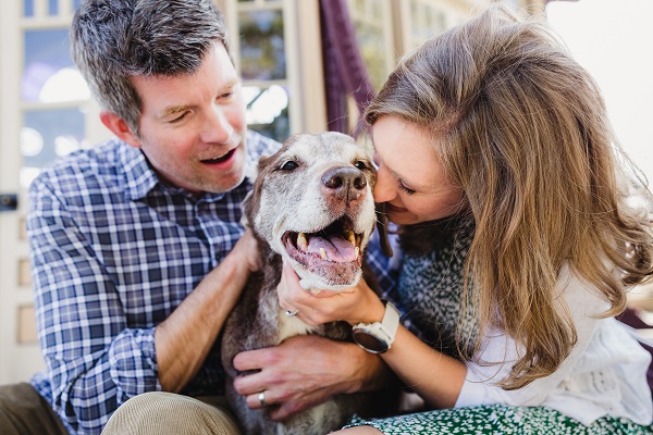happy senior chocolate lab mix with her family